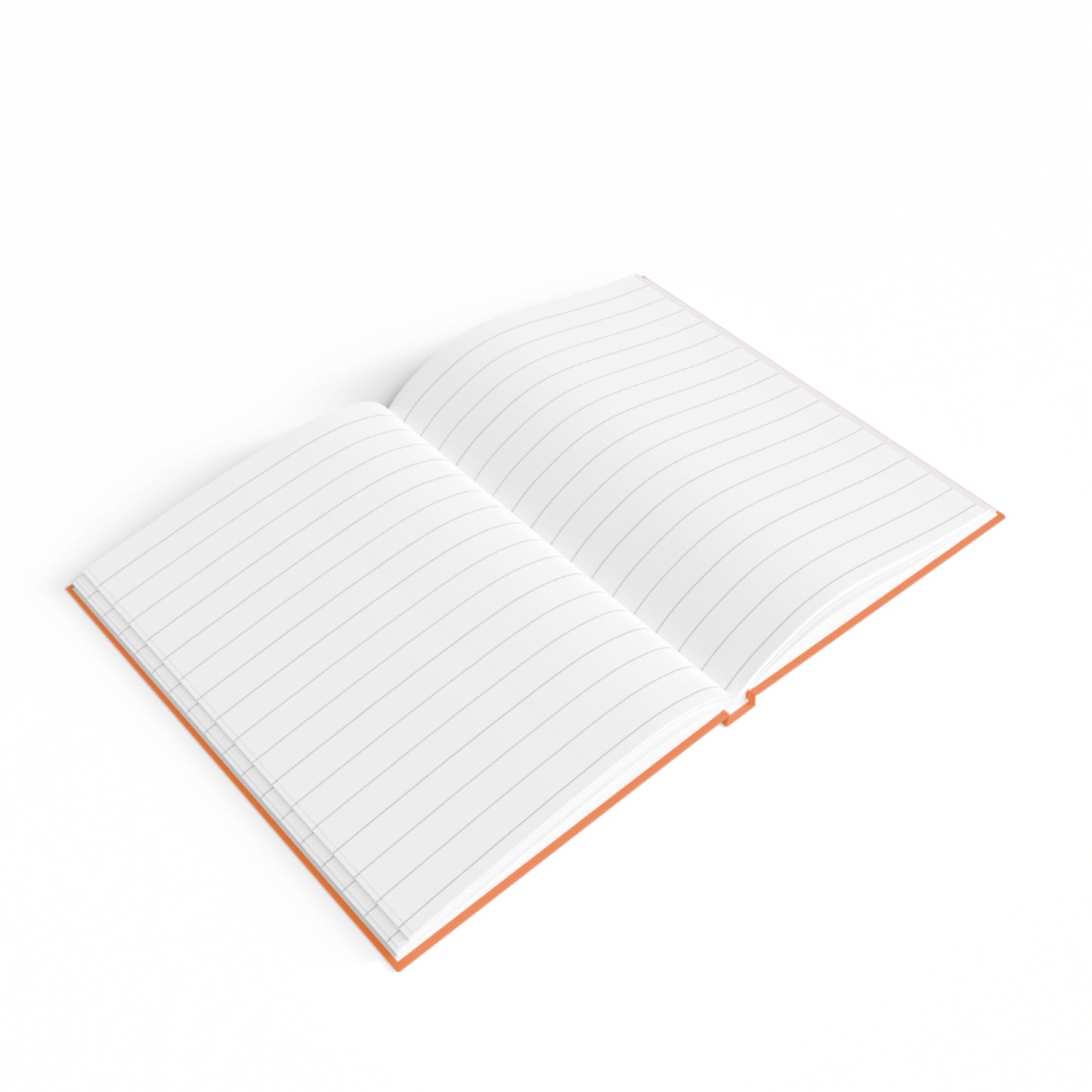 Introspection Journal #5