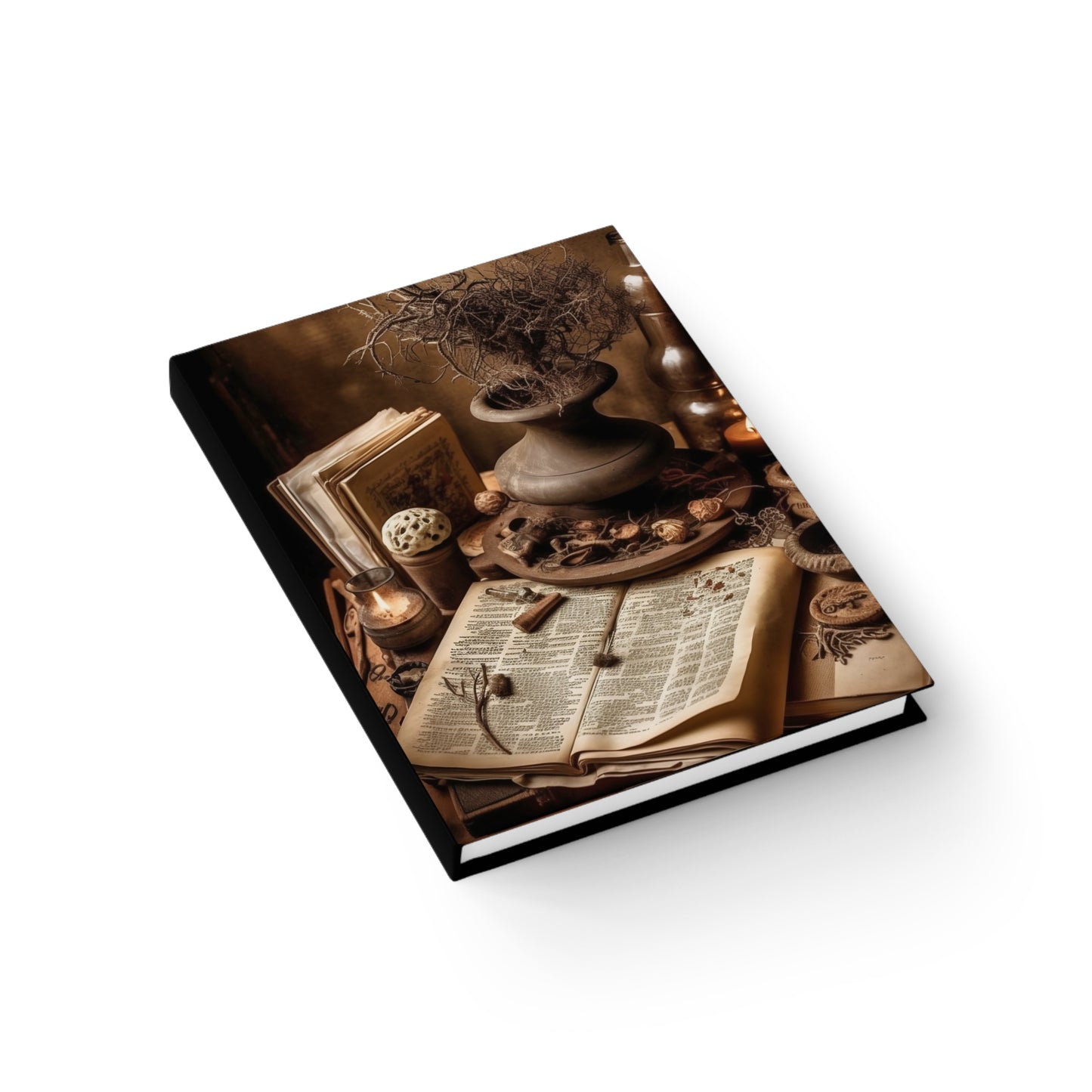 Ancestors Journal #2