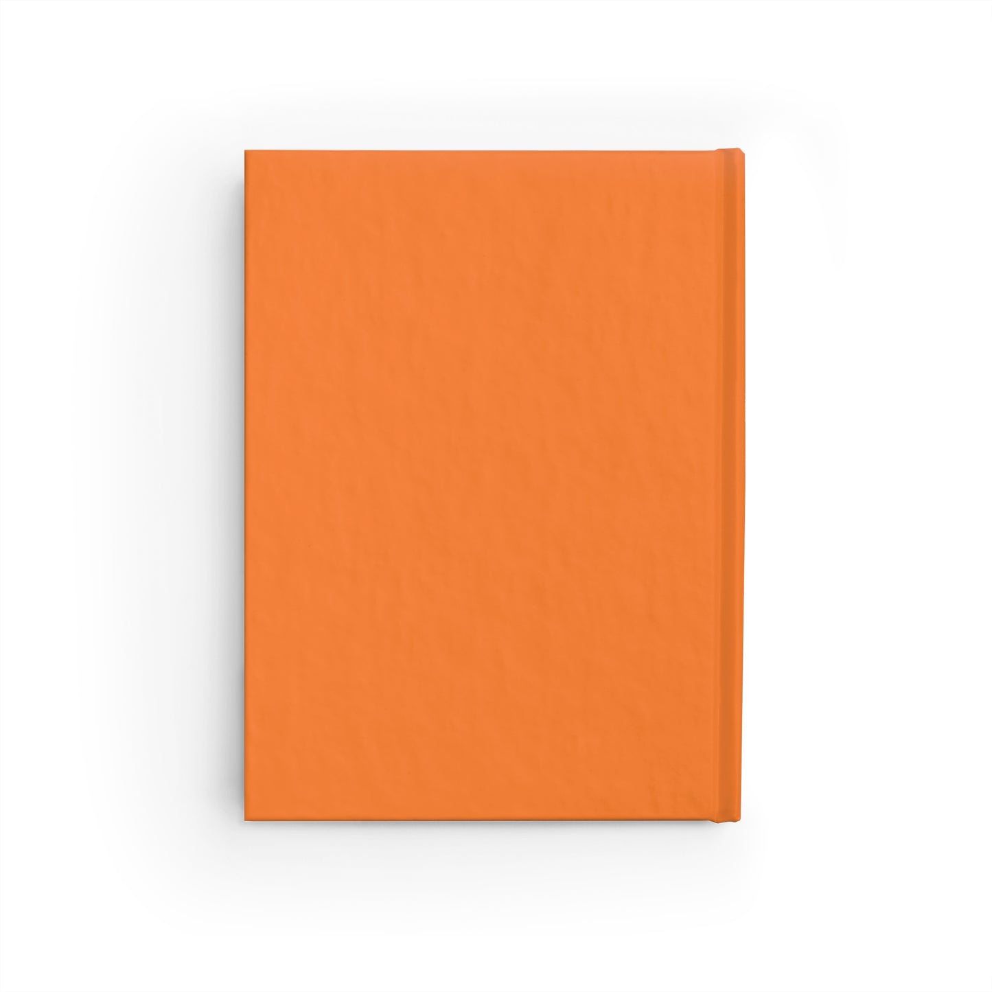 Introspection Journal #5