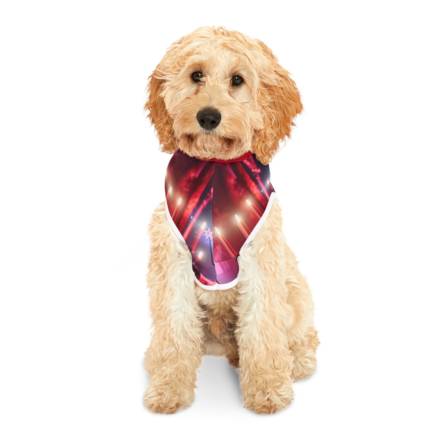 Arya Stark- Pet Hoodie