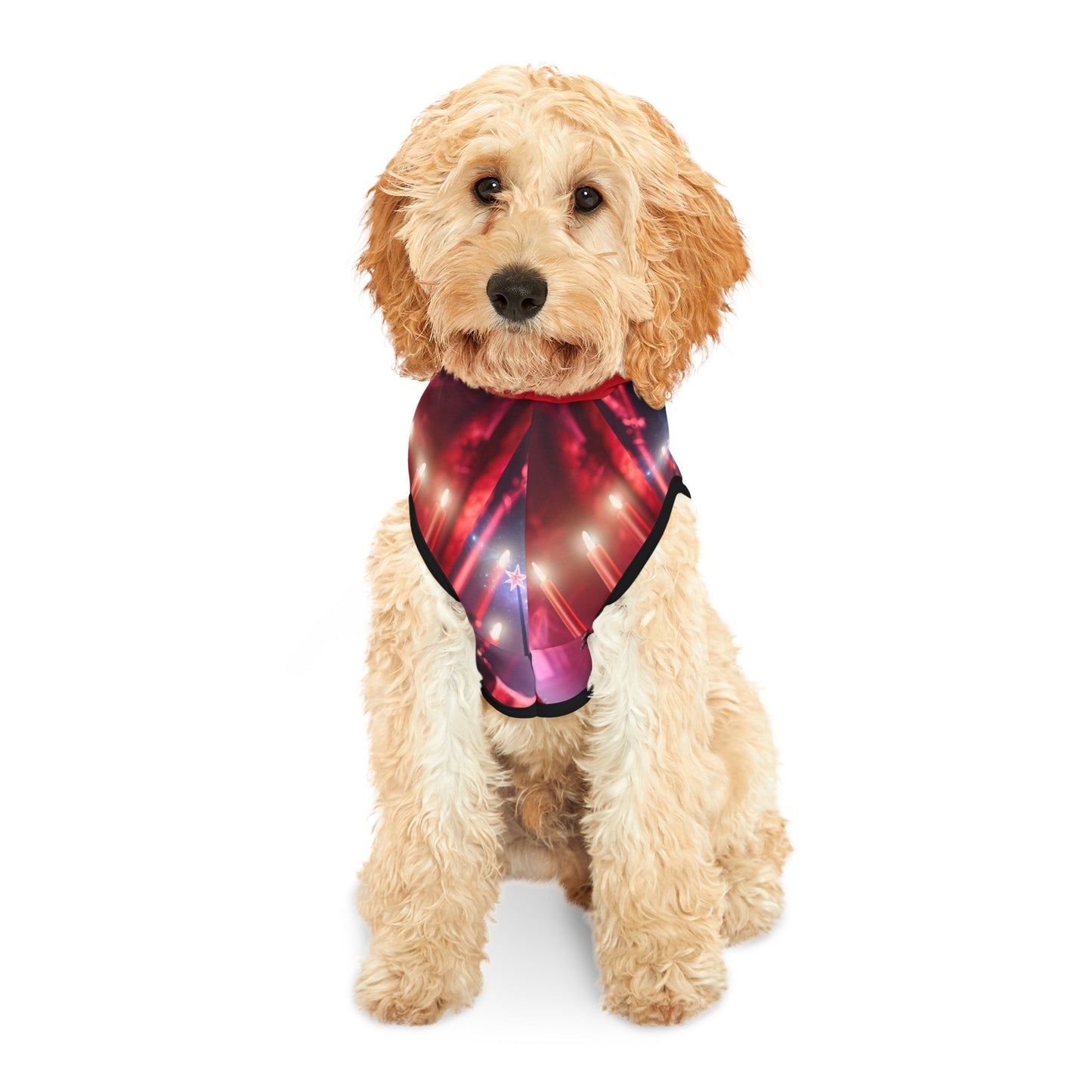 Arya Stark- Pet Hoodie