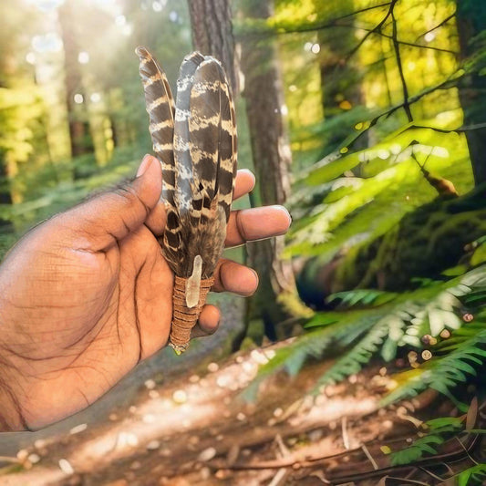Shaman Energy Clearing Feather Fan 7"