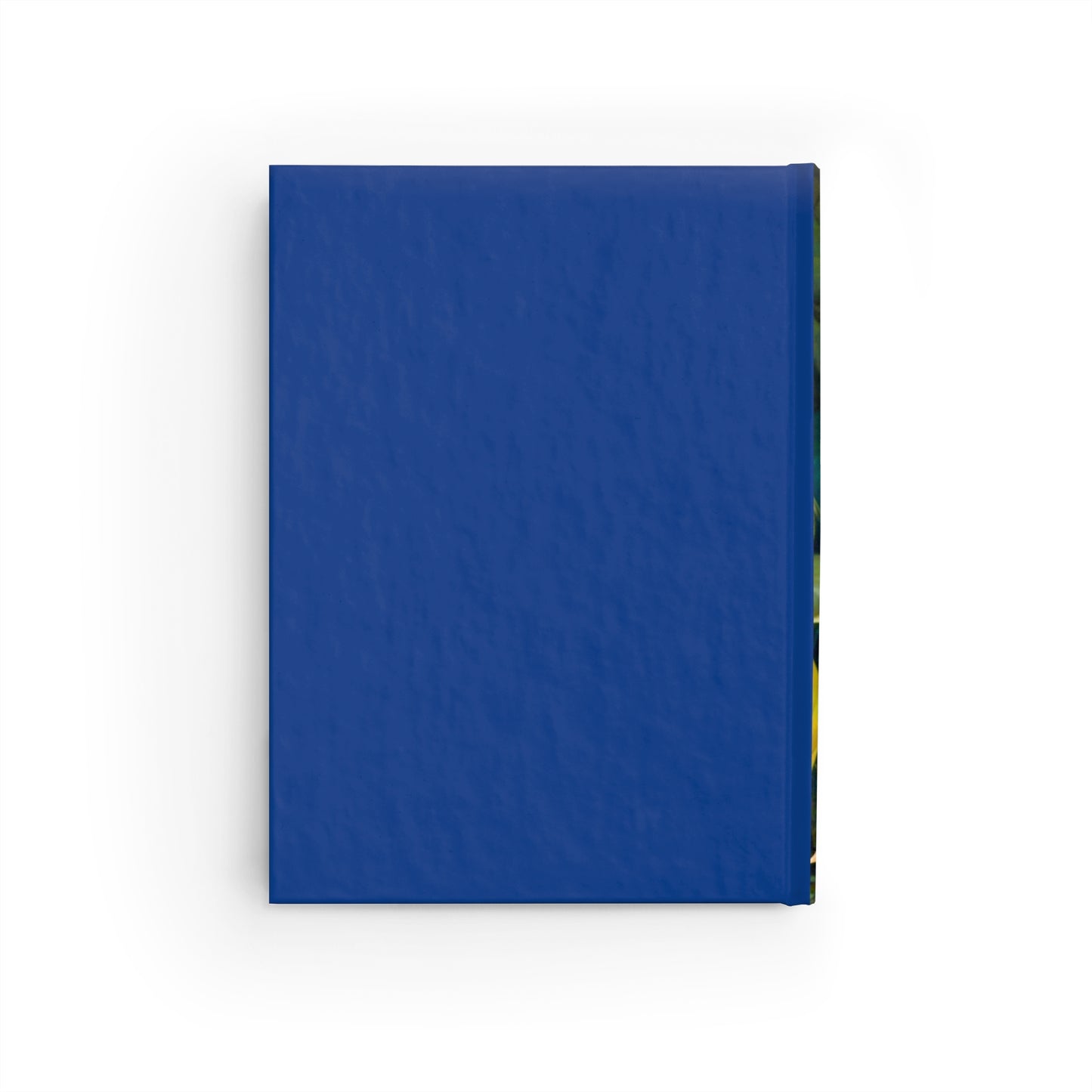 Ganesha Journal