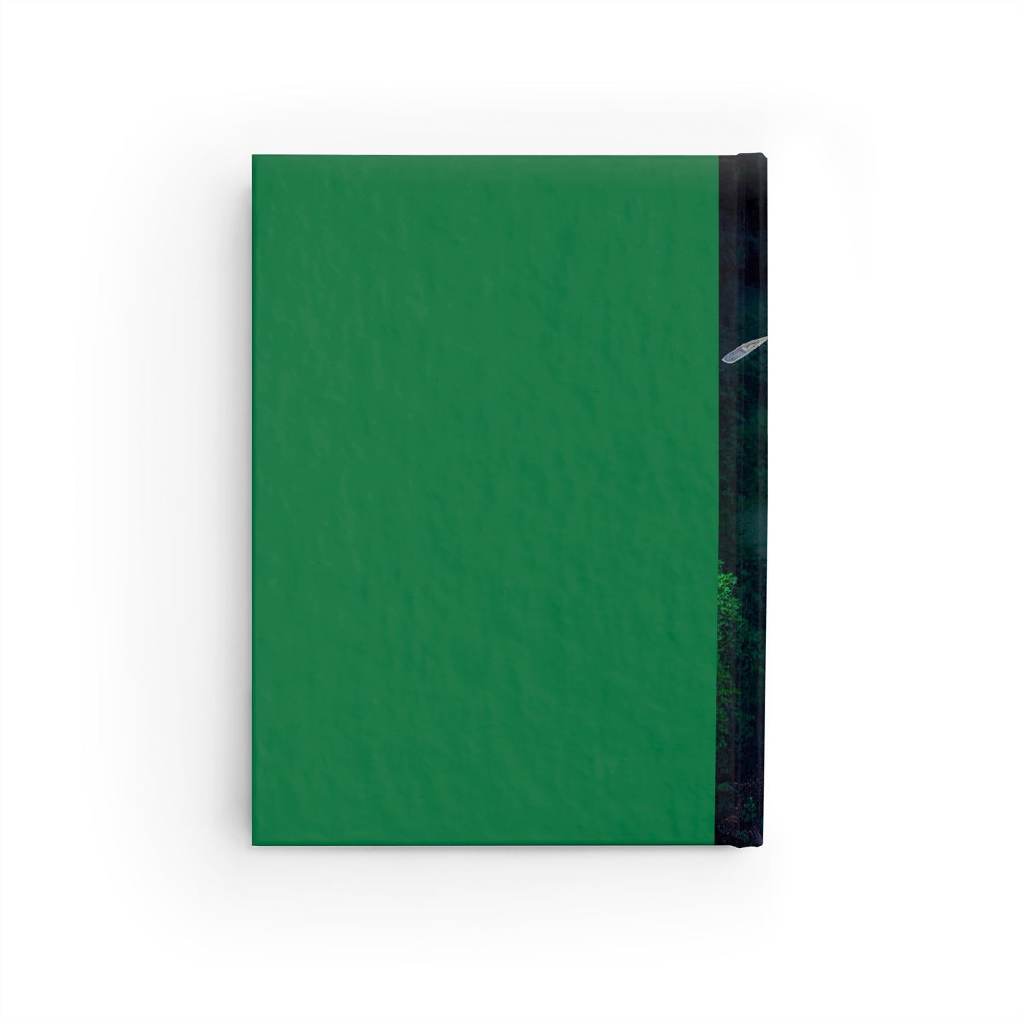 Money & Success Manifestation Journal