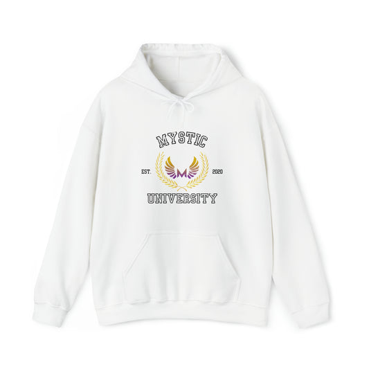 Mystic University Spirit Wear Unisex Hoodie #1